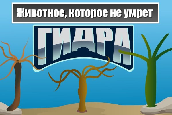 Кракен маркетплейс что там