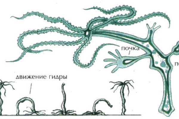 Kraken 17at сайт