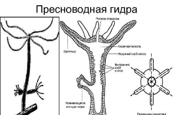 Кракен ссылка на тор официальная