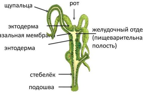 Кракен сайт вход